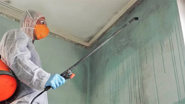 depositphotos_481633694-stock-photo-mold-inspection-and-remediation-toxic